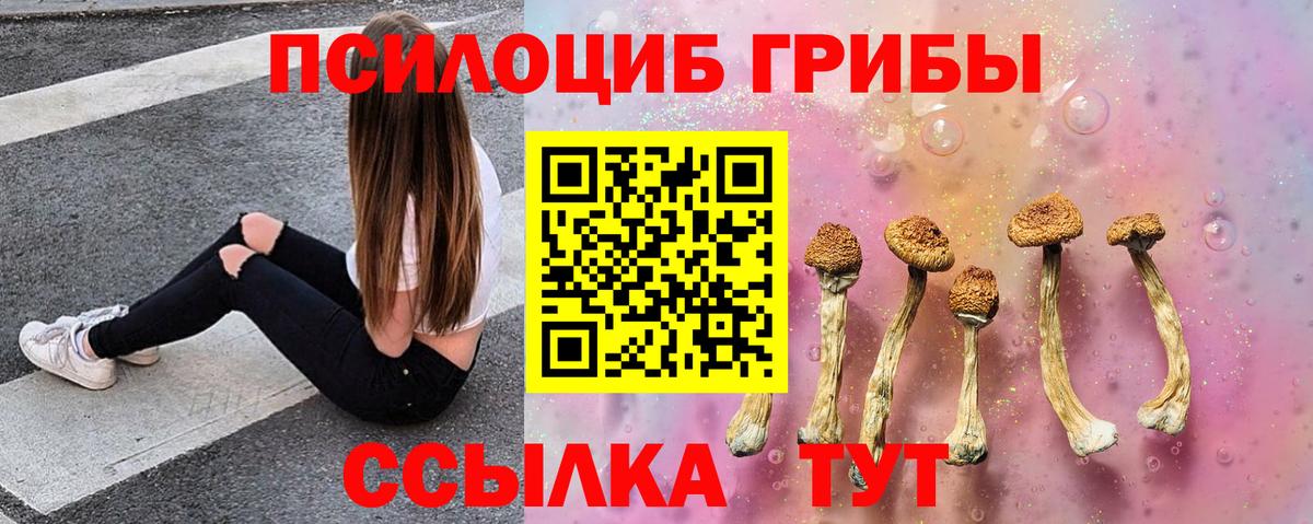 Псилоцибиновые грибы Cubensis Черногорск