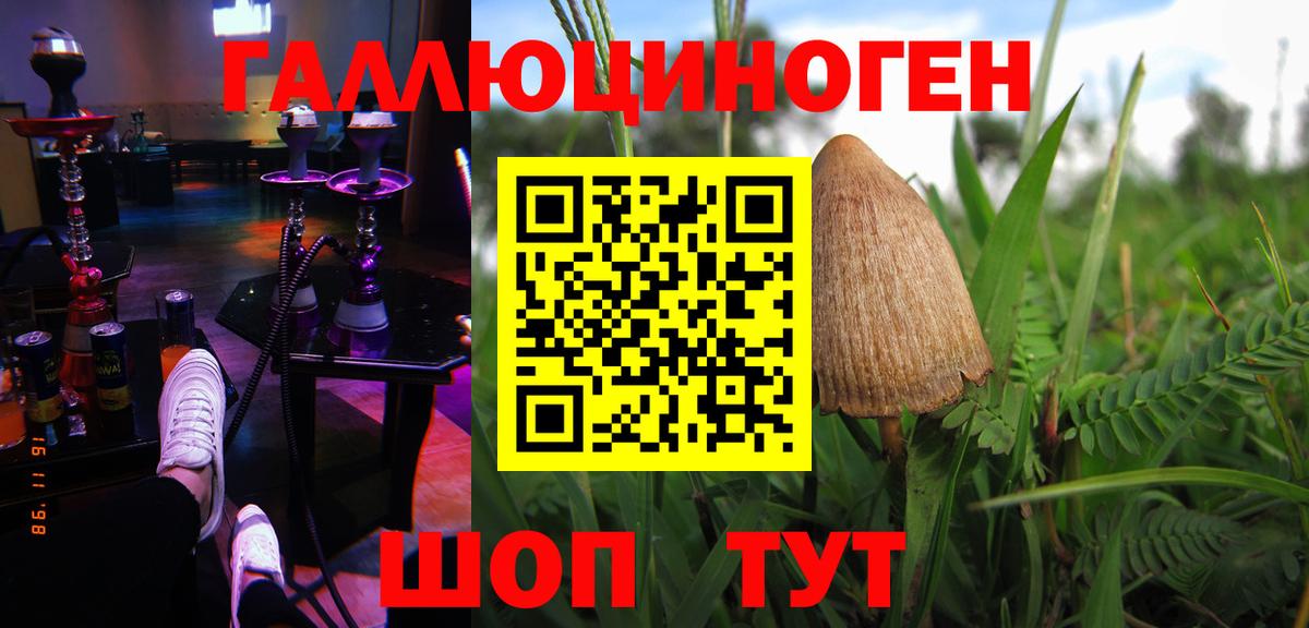 Галлюциногенные грибы Cubensis  Галлюциногенные грибы GOLDEN TEACHER  Вход с VPN  Черногорск 